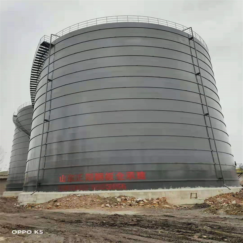 化隆3万吨大型钢板库