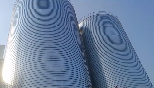 化隆2座混凝土高架卷板仓